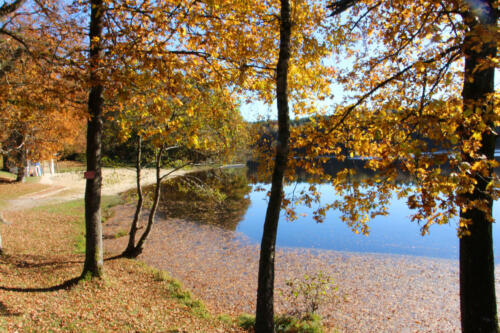 Strand van de vijver van de Motte