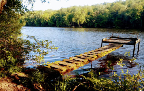 Ponton étang de la Vieille Forge